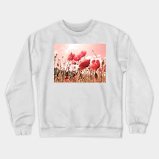 Fresh, wild, red poppies in the field, color photography, delicate flowers image Crewneck Sweatshirt